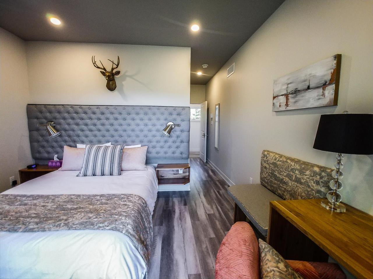 Le Bellevue Modern Lodge Wakefield Dış mekan fotoğraf